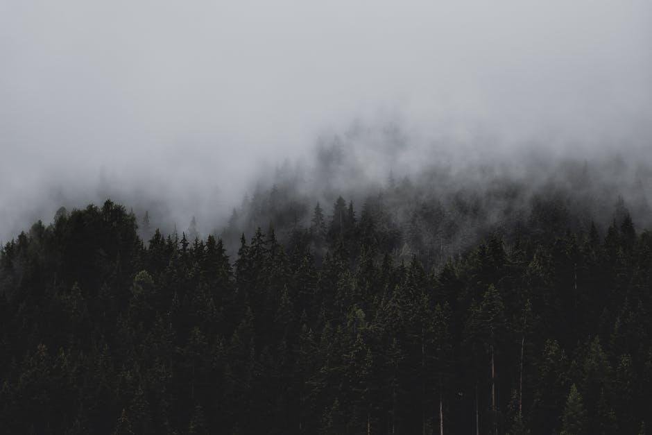 Strategic​ Keyword Density for Optimal Visibility