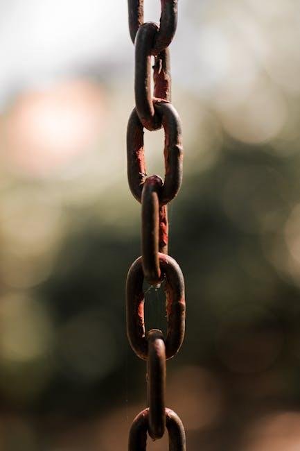 Common Misconceptions About nofollow Links and Their Impact